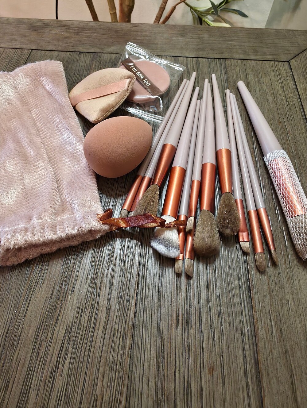 17 PC Blush Pink Makeup Brush Set with Sponge & Pouch